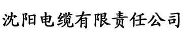 国产AV无码专区亚洲A∨毛片电缆厂logo